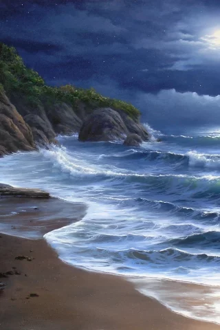 костер, Море, ночь