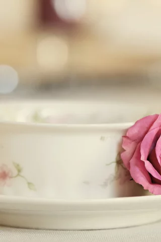 чашка, Elegance, роза
