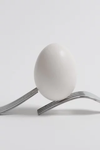 яицо, Вилки, минимализм