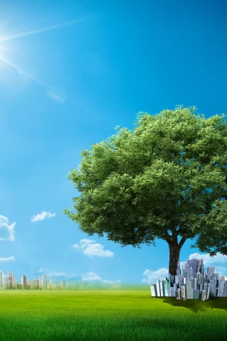 Лужайка, креатив, небо, солнце, здания, дерево, облака