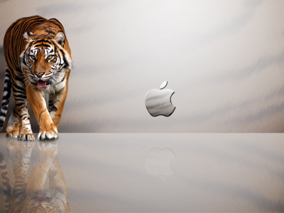 отражение, тигр, Apple