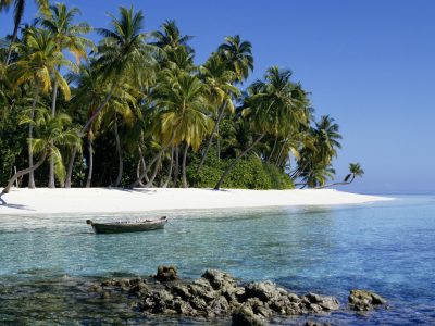 песок, мальдивские острова, пальмы, Индийский океан
