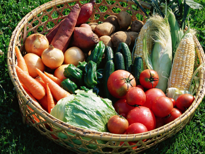 помидоры, капуста, огурцы, перец, Овощи, лук, корзина