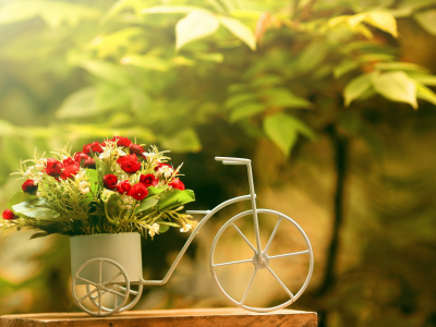 розы, фон, велосипед, Цветы