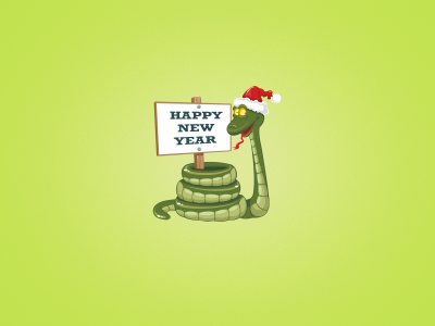 надпись, Новый год, змея, зеленый фон, табличка
