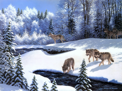 животные, живопись, Robert a. richert, волки, on the prowl