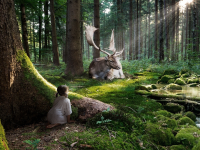 лес, Девочка, наблюдение, ручей, олень, лучи