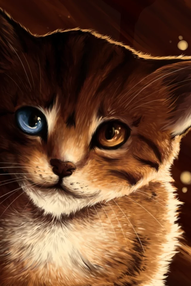 морда, разные глаза, lucity, кот, котэ, кошка, рыжий, Арт