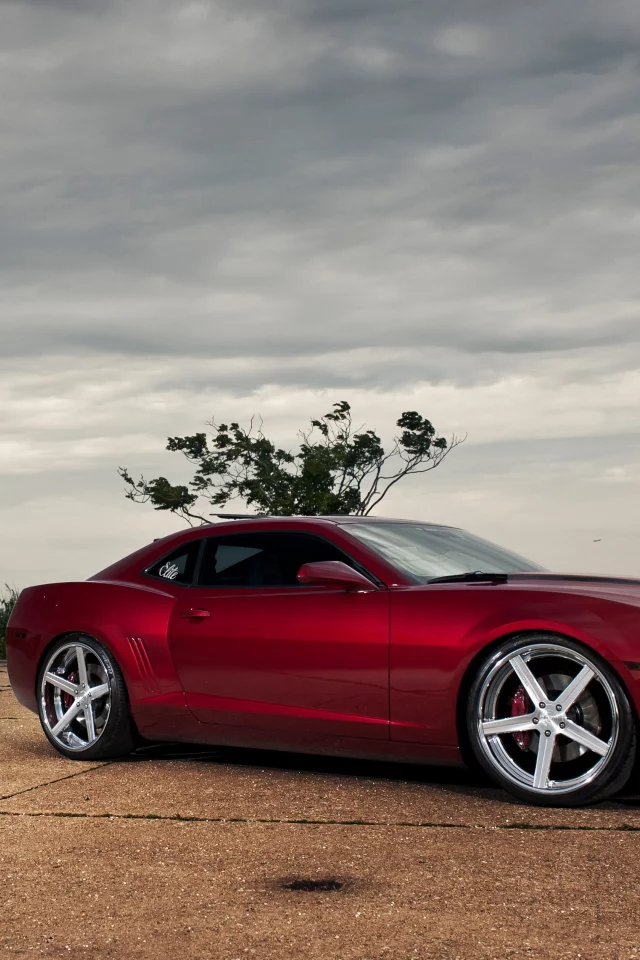 камаро сс, красный, camaro ss, вид сбоку, шевроле, red, Chevrolet