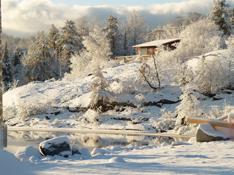 forest, houses, nature, snow, landscapes, 