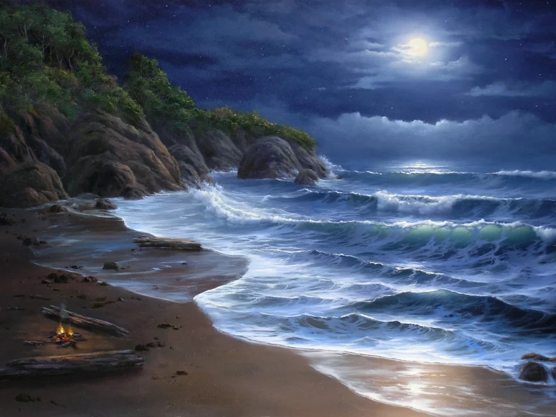 костер, Море, ночь