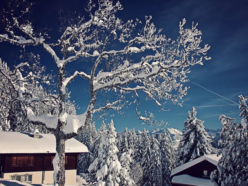2013, 2, природа, nature