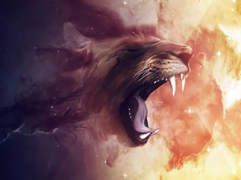 animals, digital art, Фотоманипуляция, животных, цифровое искусство, photomanipulation