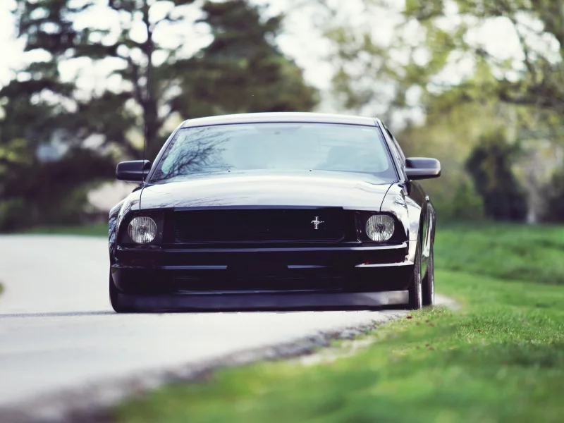 roads, Shelby GT500, black, cars, Ford Mustang Shelby GT500, Ford Mustang, , Ford, lowriders