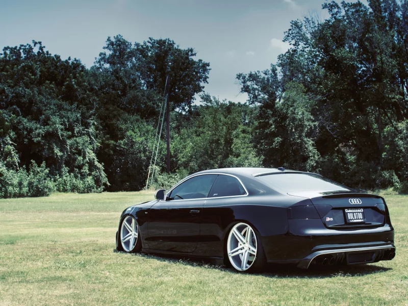 машины, трава, s5, авто, тюнинг, деревья, Audi, посадка