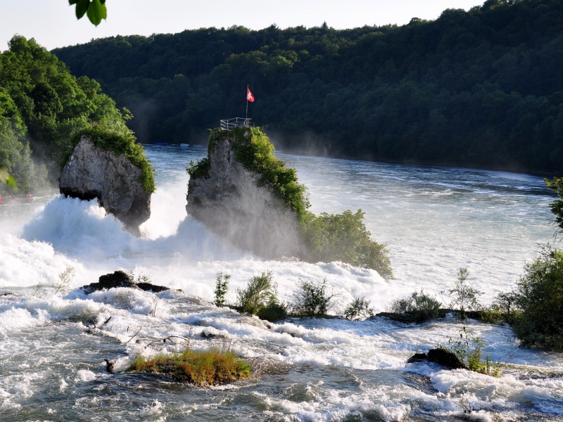 rivers, landscapes, rheinfall, rhein, nature, forest, 