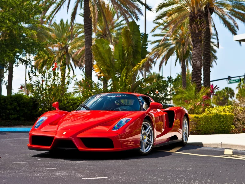вид спереди, enzo, красный, red, энцо, феррари, Ferrari