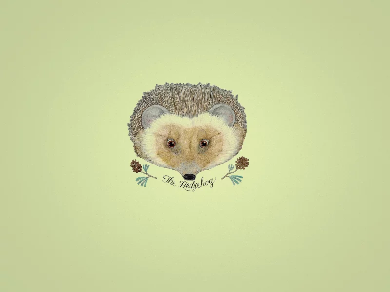 ветка, еж, надпись, Ежик, hedgehog, шишки, желтый фон