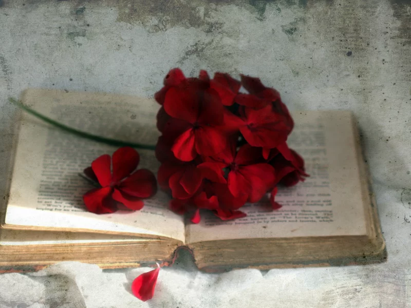 фон, цветок, Книга, стиль