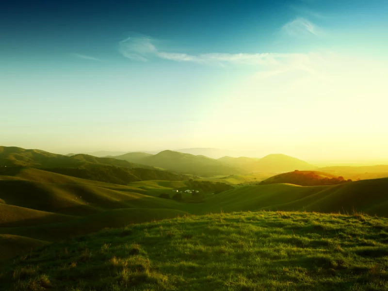 трава, калифорния, калифорнийские холмы, Californian hills
