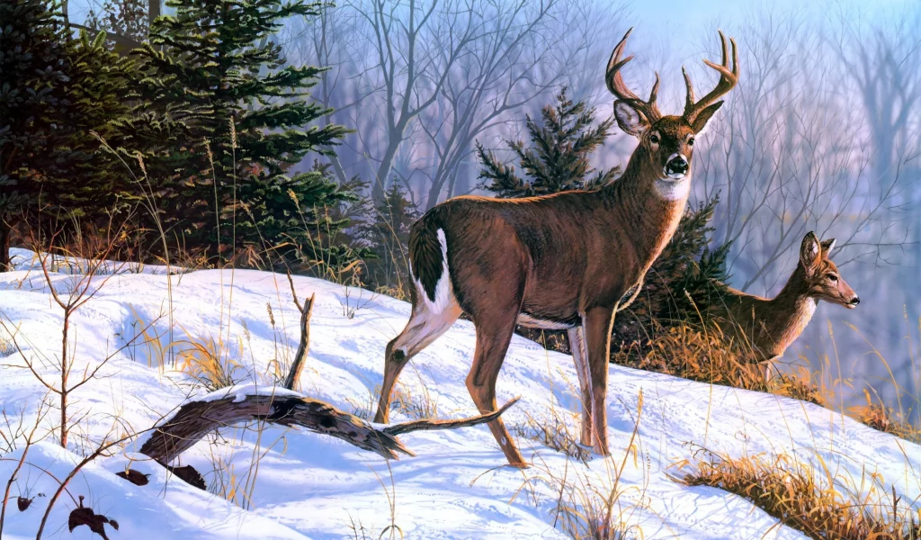 снег, олени, зима, животные, живопись, Bruce miller, on the ridge