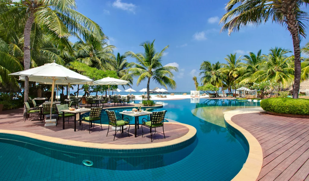 пальмы, Maldives, бассейн, столик, мальдивы, шезлонги