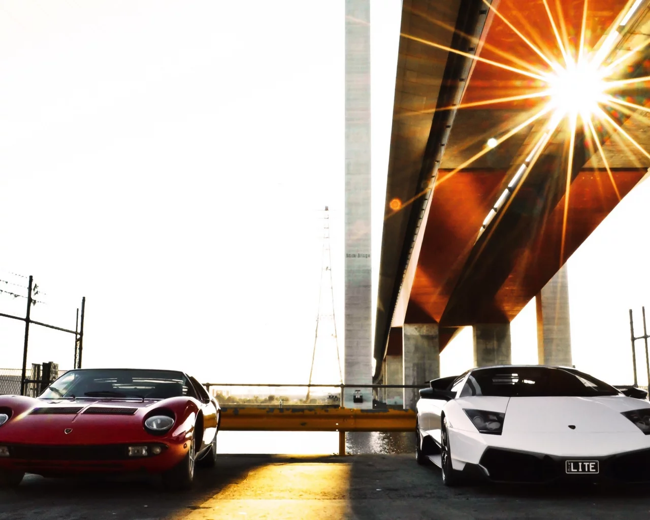 lp670-4 sv, miura, Lamborghini, ламборгини, red, мурсиэлаго, murcielago, white