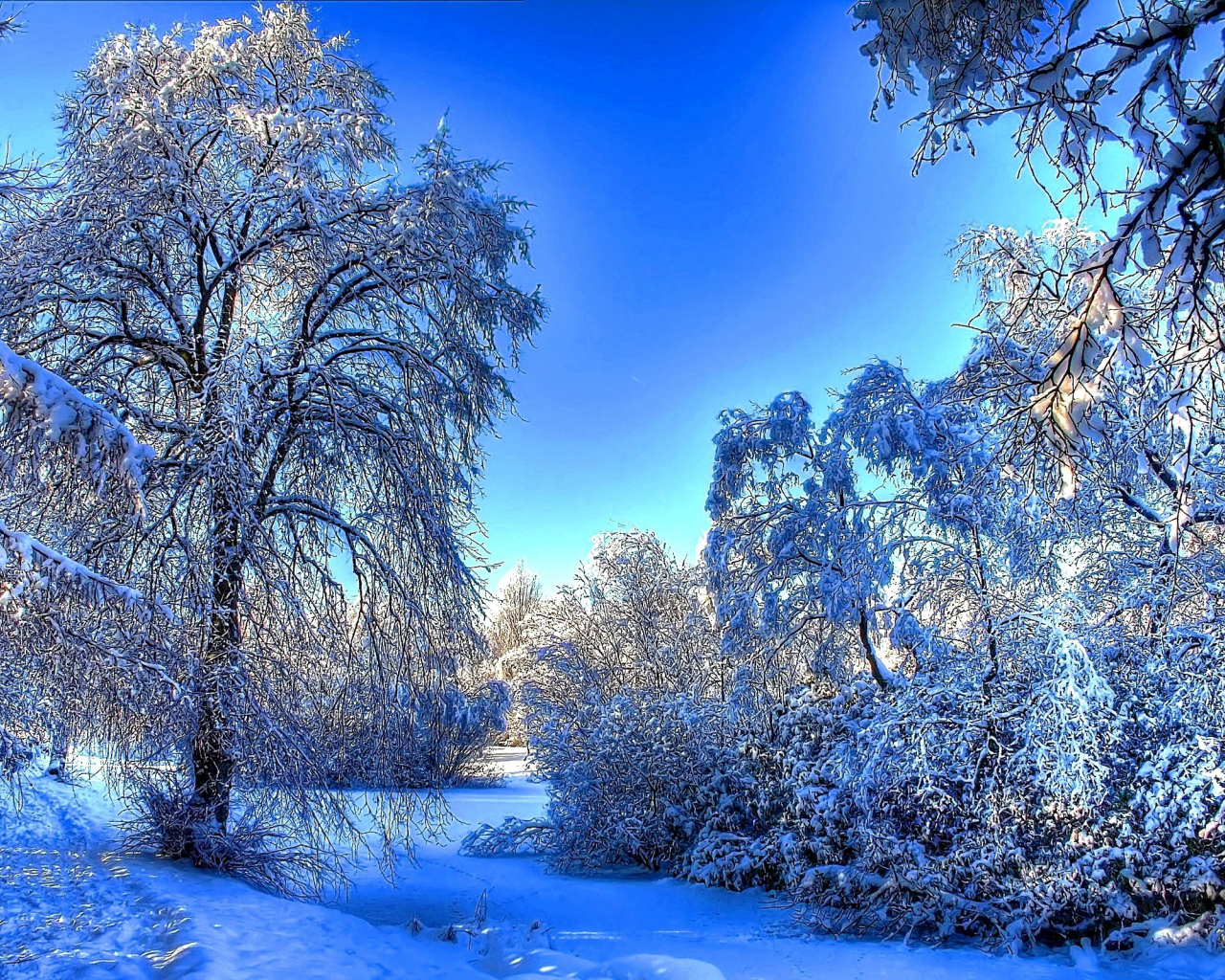 Зимний пейзаж вертикальный