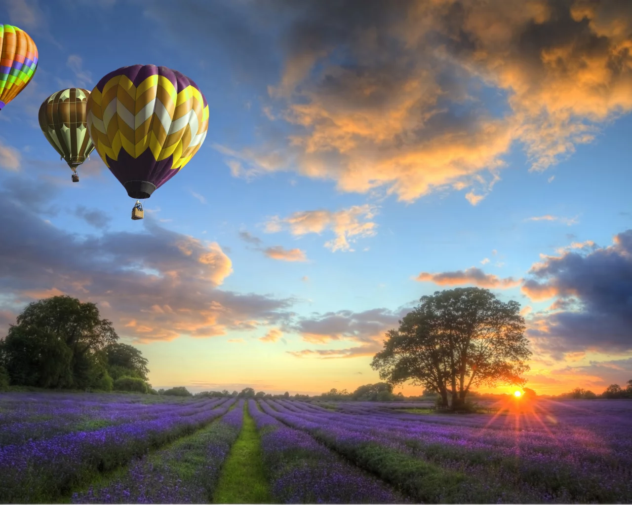 закат, balloons, облака, flowers, небо, field, пейзаж, Природа