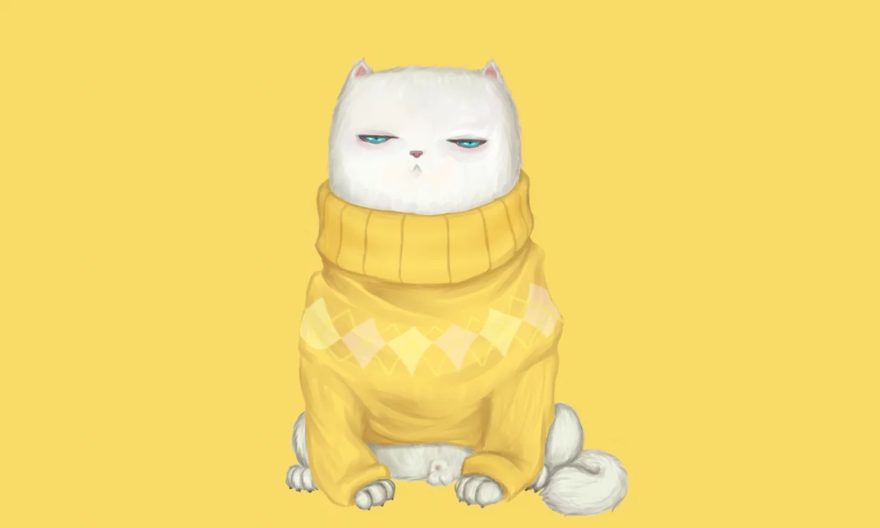взгляд, Кот, свитер, мордочка