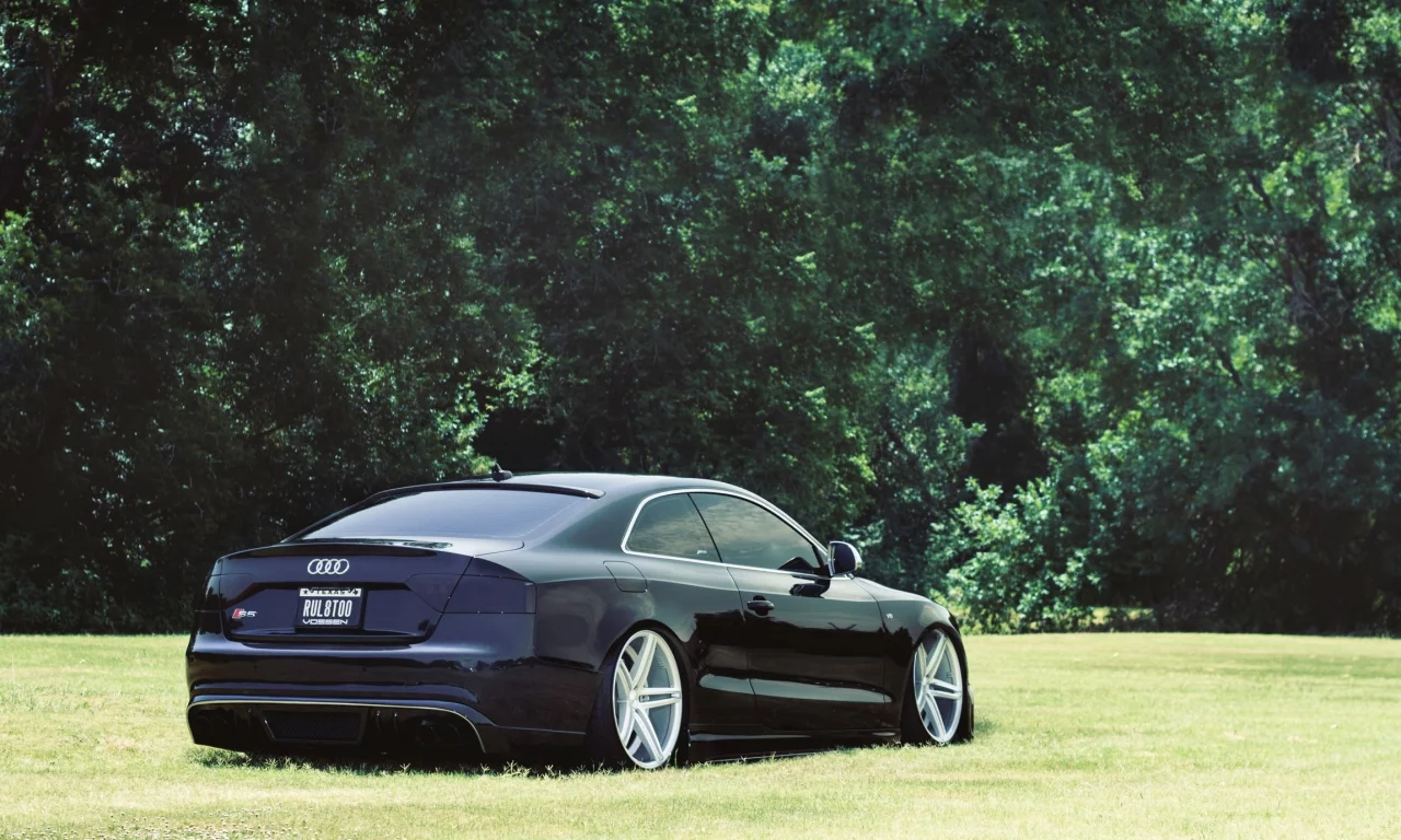 Audi, посадка, s5, тюнинг, авто, деревья, трава, машины
