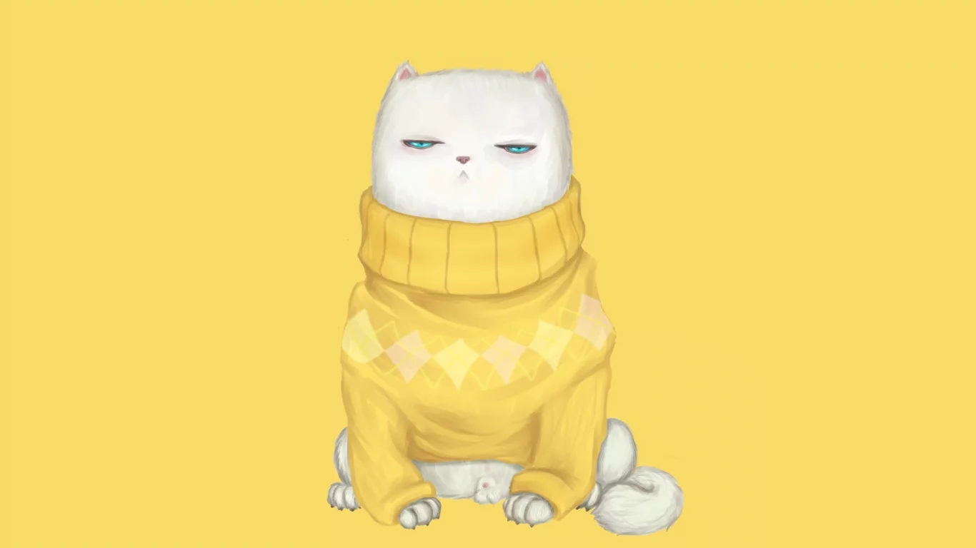 взгляд, Кот, свитер, мордочка