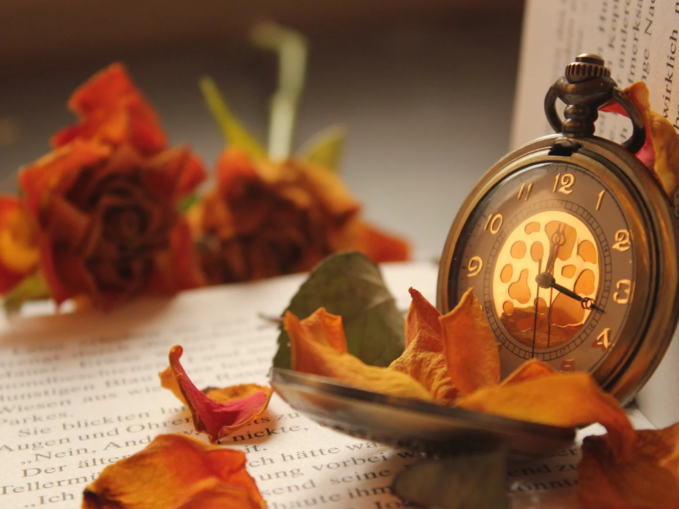 цветы, Книга, лепестки, карманные, часы, розы