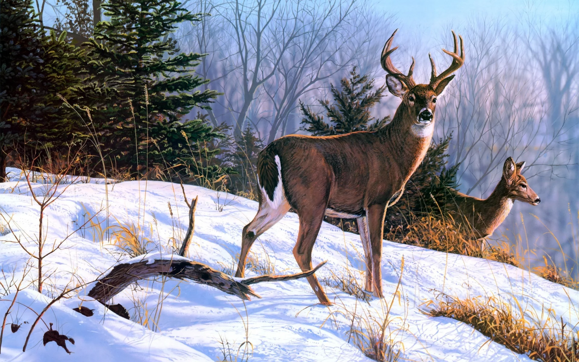 снег, олени, зима, животные, живопись, Bruce miller, on the ridge