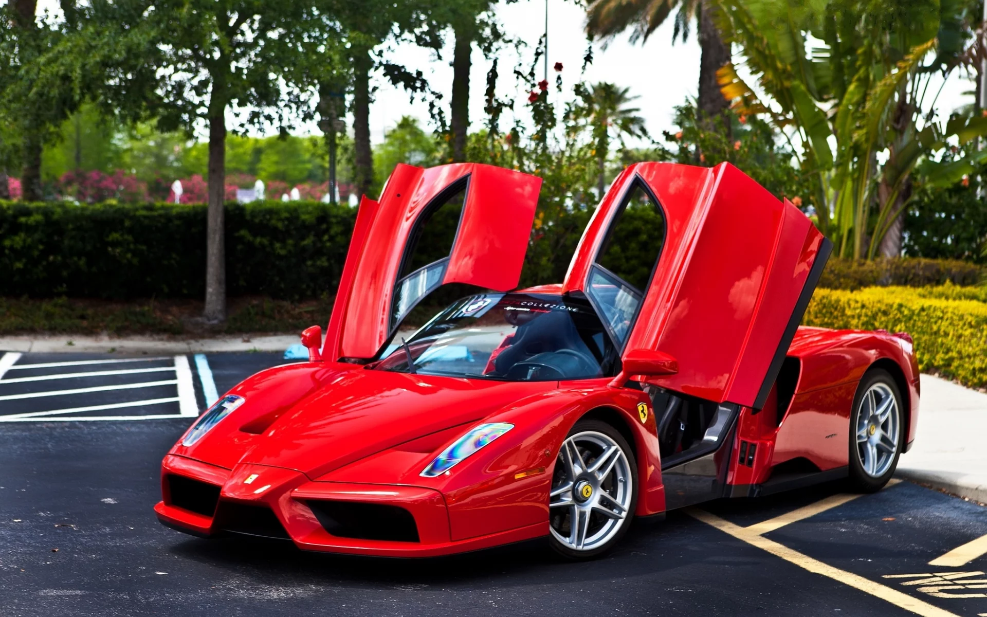 Ferrari, красный, red, trees, parking, феррари, энцо, enzo, вид спереди