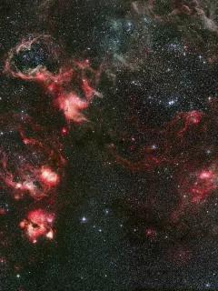 туманность, тарантул, созвездие, Ngc 2070, золотая рыба