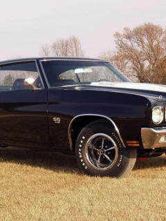 шевиль, chevelle, Chevrolet, шевроле, 1970, 396, хардтоп, coupe, ss, hardtop