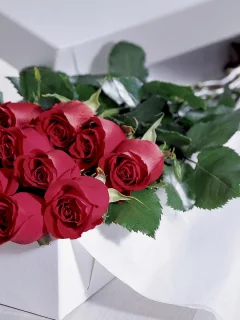 розы, Цветы, подарок
