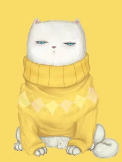 взгляд, Кот, свитер, мордочка