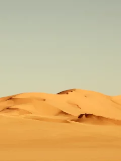 песок, пустыня