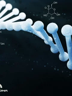 dna, Krass, dnk