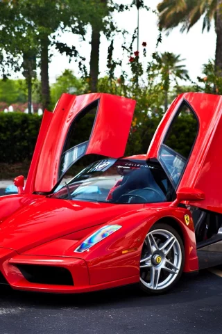 Ferrari, красный, red, trees, parking, феррари, энцо, enzo, вид спереди