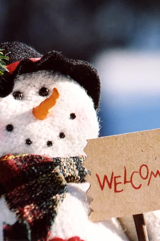 christmas, снеговик, new year, новый год, рождество, Праздники
