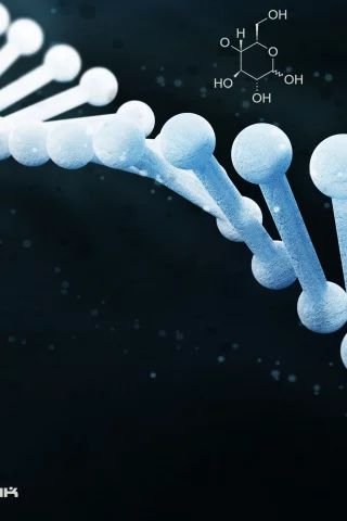 dna, Krass, dnk