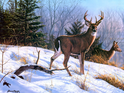 снег, олени, зима, животные, живопись, Bruce miller, on the ridge