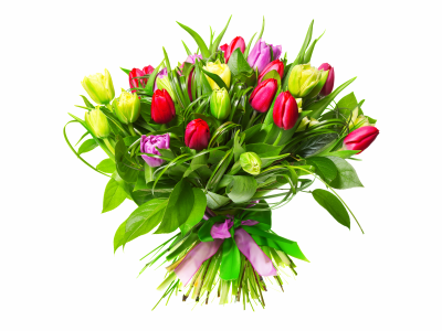 цветы, тюльпаны, бутоны, Букет, лента