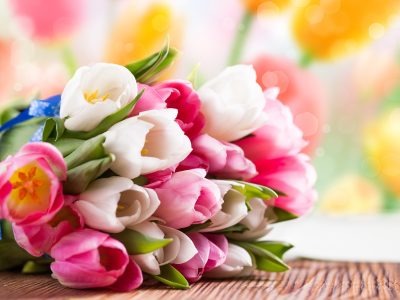 белые, Тюльпаны, розовые, весна, цветы, букет