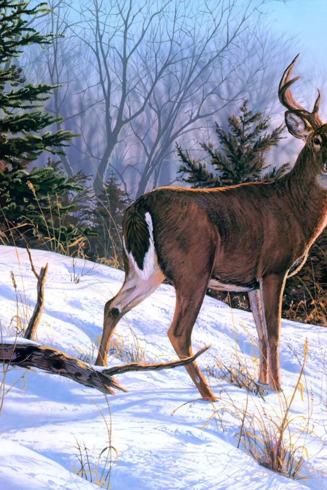 снег, олени, зима, животные, живопись, Bruce miller, on the ridge