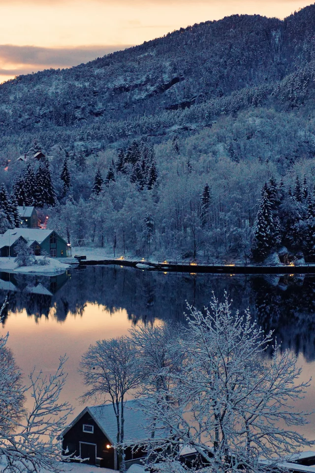 вода, Природа, снег, деревья, зима, норвегия