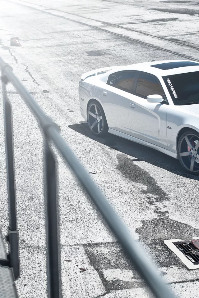charger, белый, срт, srt8, додж, Dodge, чарджер, need 4 speed, white